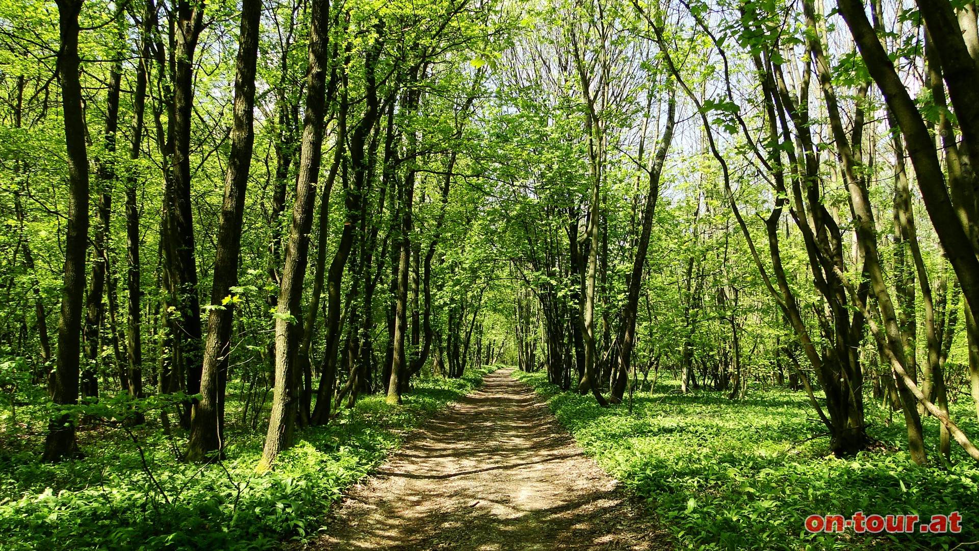 Bei der ersten Weggabelung rechts, dann dem Wanderweg Richtung Westen folgen.