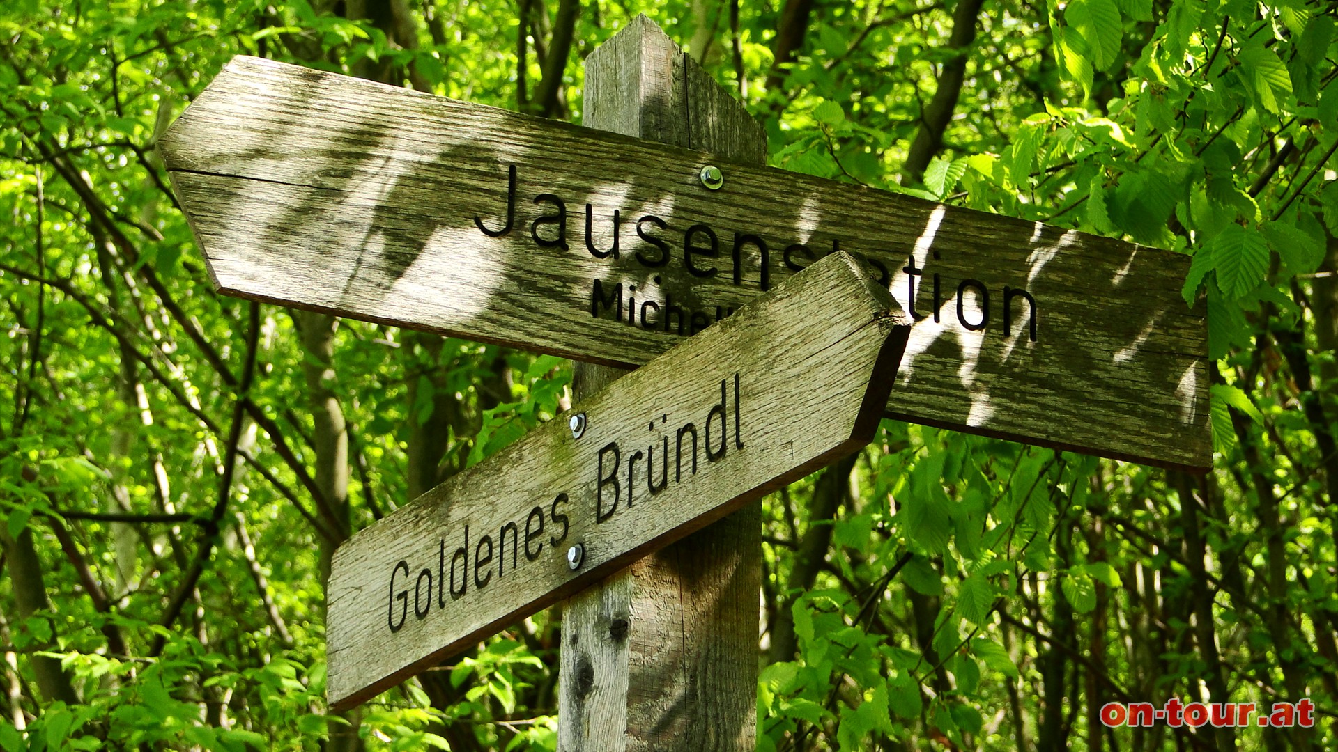 Bei der Weggabelung beim Wiesenbach folgt man dem bereits bekannten Weg zum Goldenen Brndl zurck.