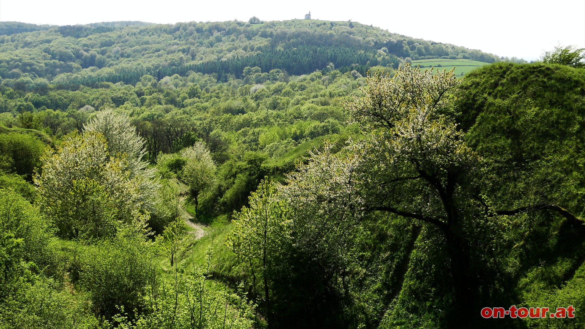 Blick vom Steinberg zum Michelberg.