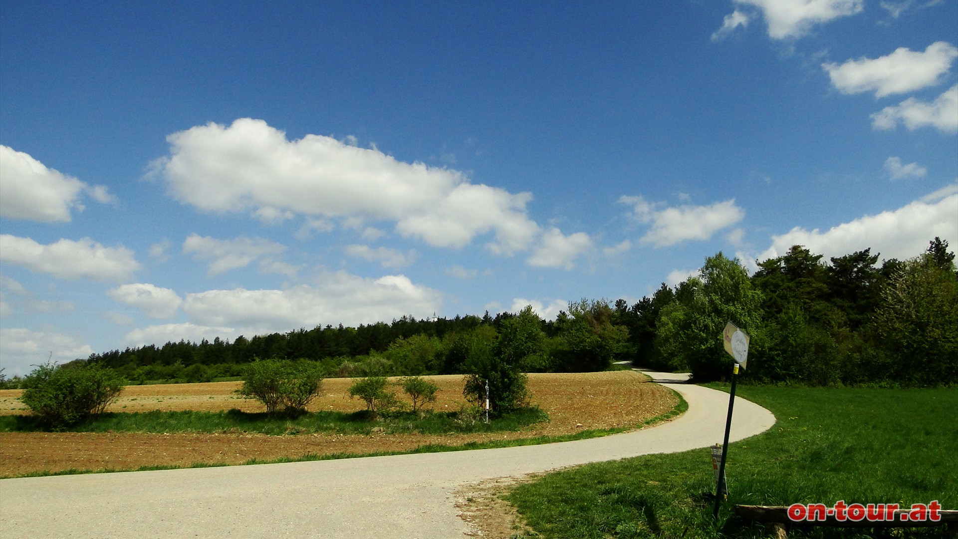 Es folgt ein Feldweg und eine Wegkreuzung. Rechts verluft eine asphaltierten Strae zum Michelberg.