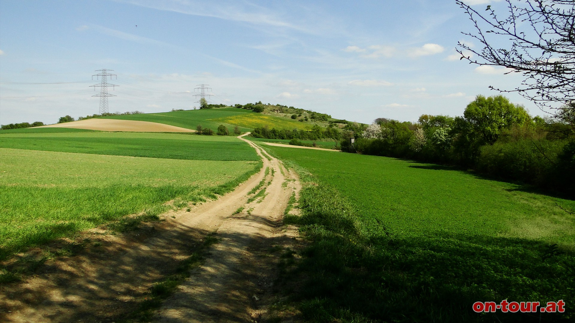 Gerade weiter bis zum Steinberg.