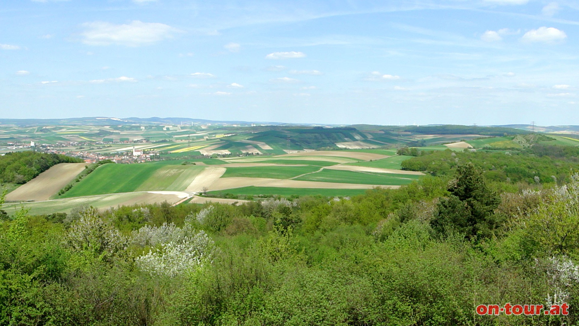 Im Nordosten Niederhollabrunn, und weit hinten die Leiser Berge mit dem Buschberg. Rechts auen noch der Steinberg.