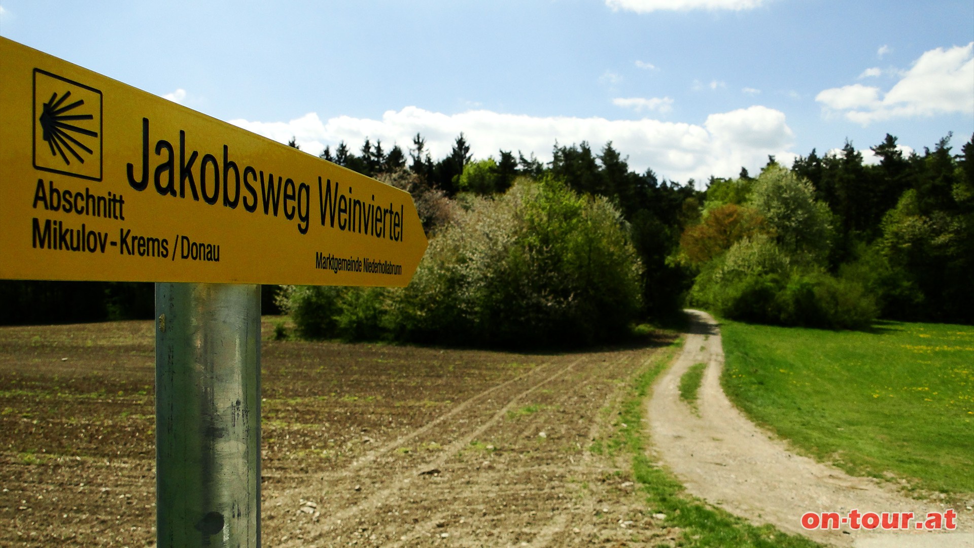 Links bietet sich ein lohnender Abstecher zum Waschberg an. Zustzlicher Aufwand etwa 1 Stunde und 3 Kilometer.