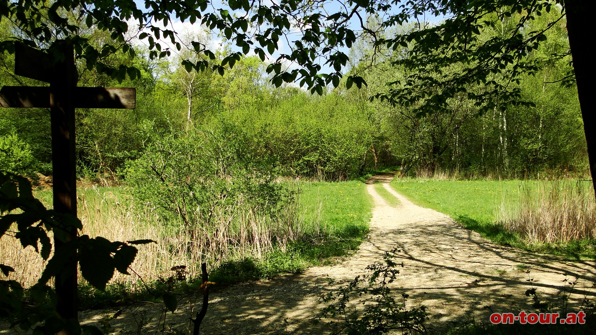 Neben dem Wiesenbach entlang bis zur Weggabelung. Nun nach links Richtung Jausenstation Michelberg.