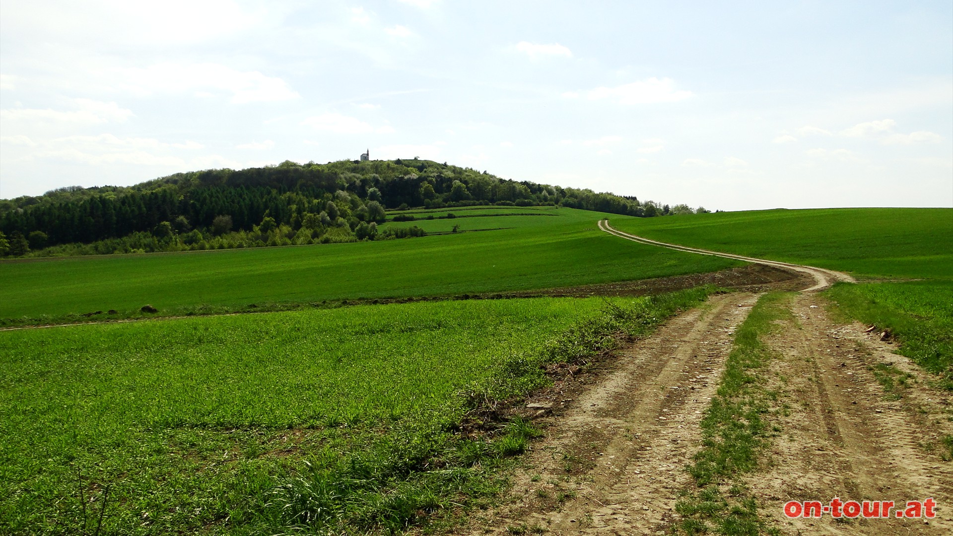 Rckblick zum Michelberg.