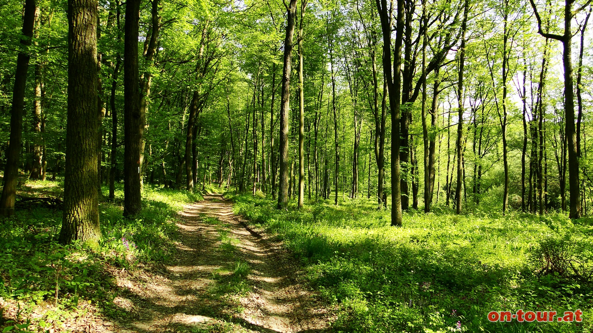 Schwenk nach Sdosten, Sden und schlielich nach Sdwesten und dem Wanderweg Richtung -Goldenes Brndl- folgen.