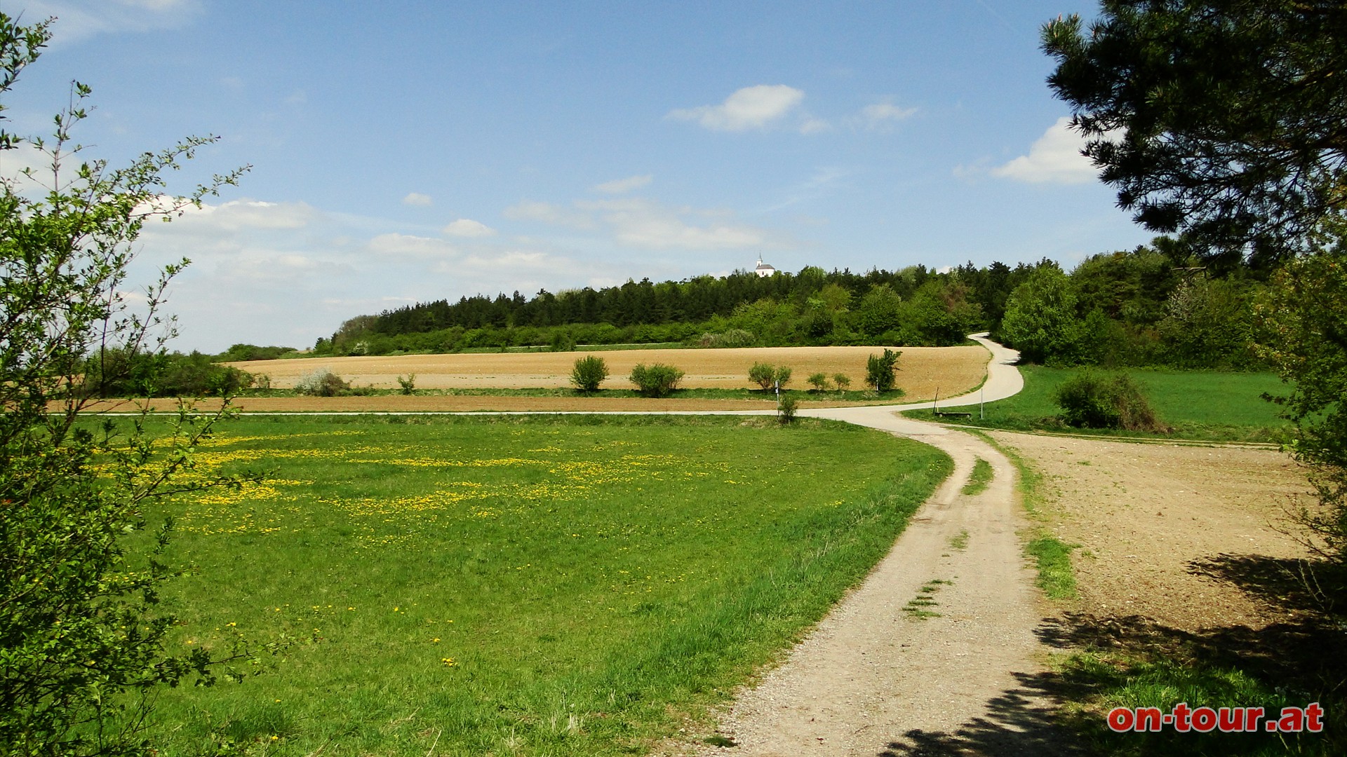 Zurck bis zur Kreuzung mit der Asphaltstrae und geradeaus zum Michelberg bergauf.