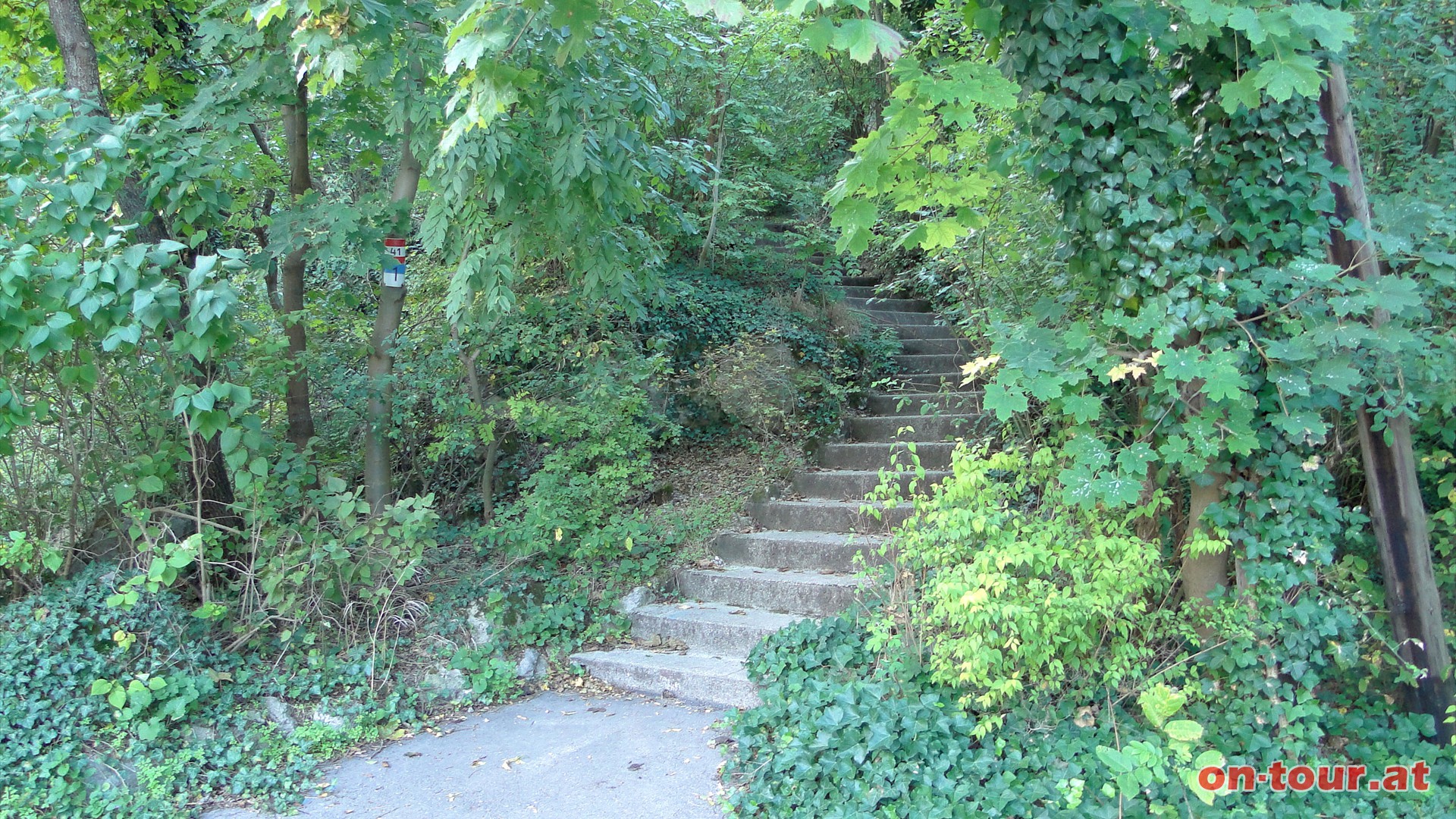 Hier fhrt eine mrchenhafte Stiege weiter bergauf Richtung Sdwesten zu einer Felskanzel.