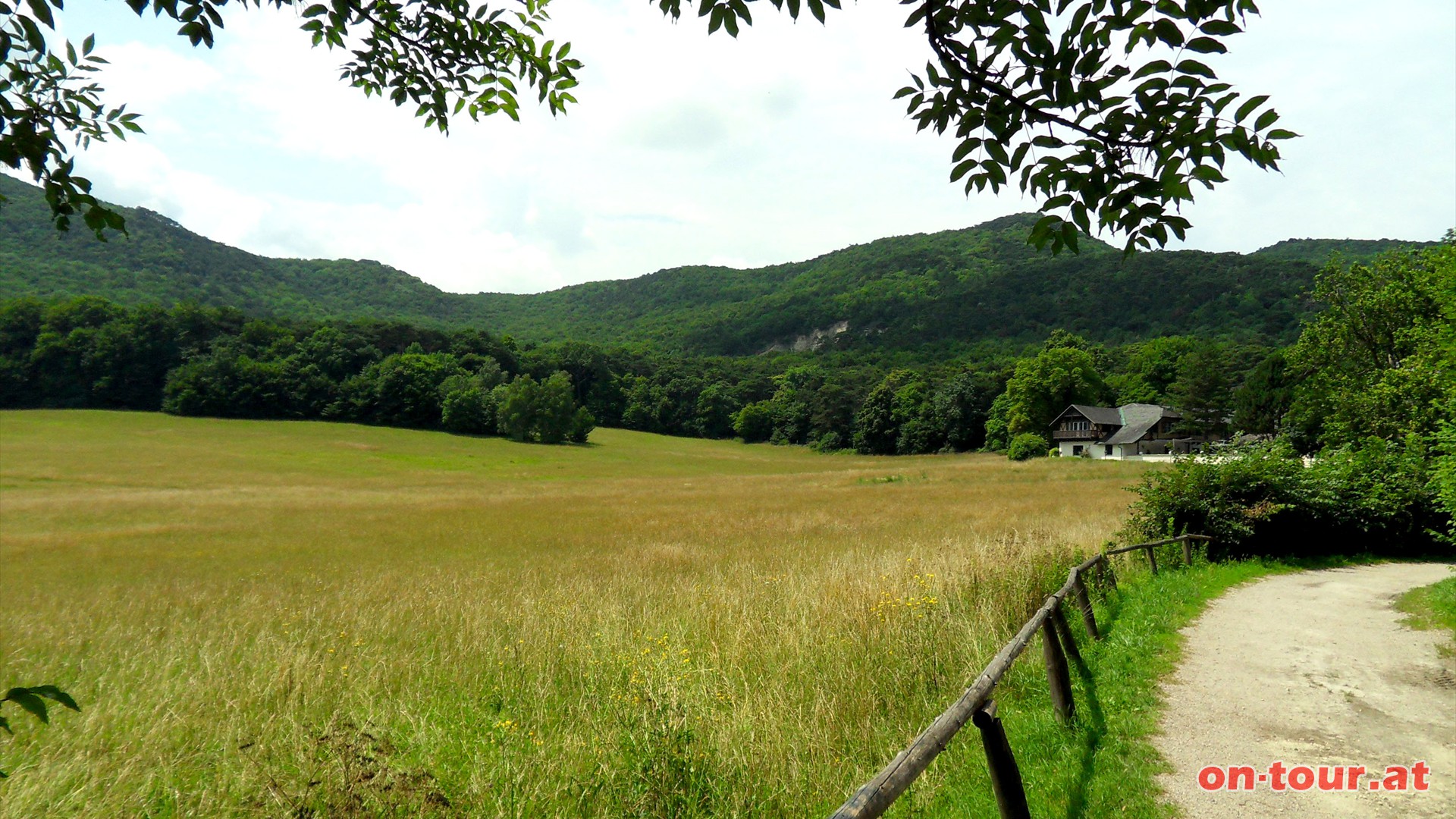 Nach dem Teich kann man direkt zur Burg Mdling aufsteigen, oder ber die Meiereiwiese (rechts) noch....