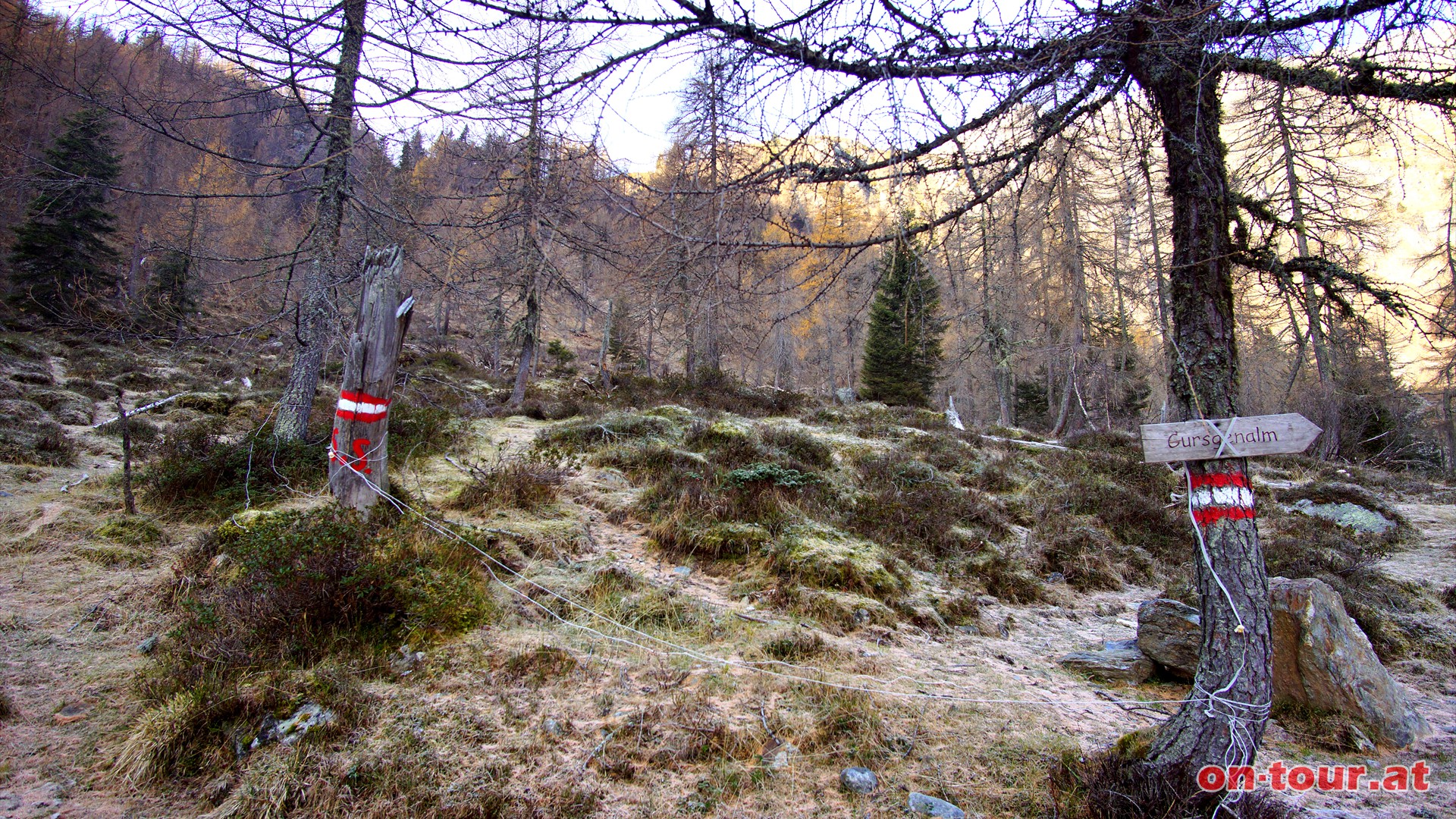 Richtung Seidernitzsee, nicht Richtung Gursgenalm.