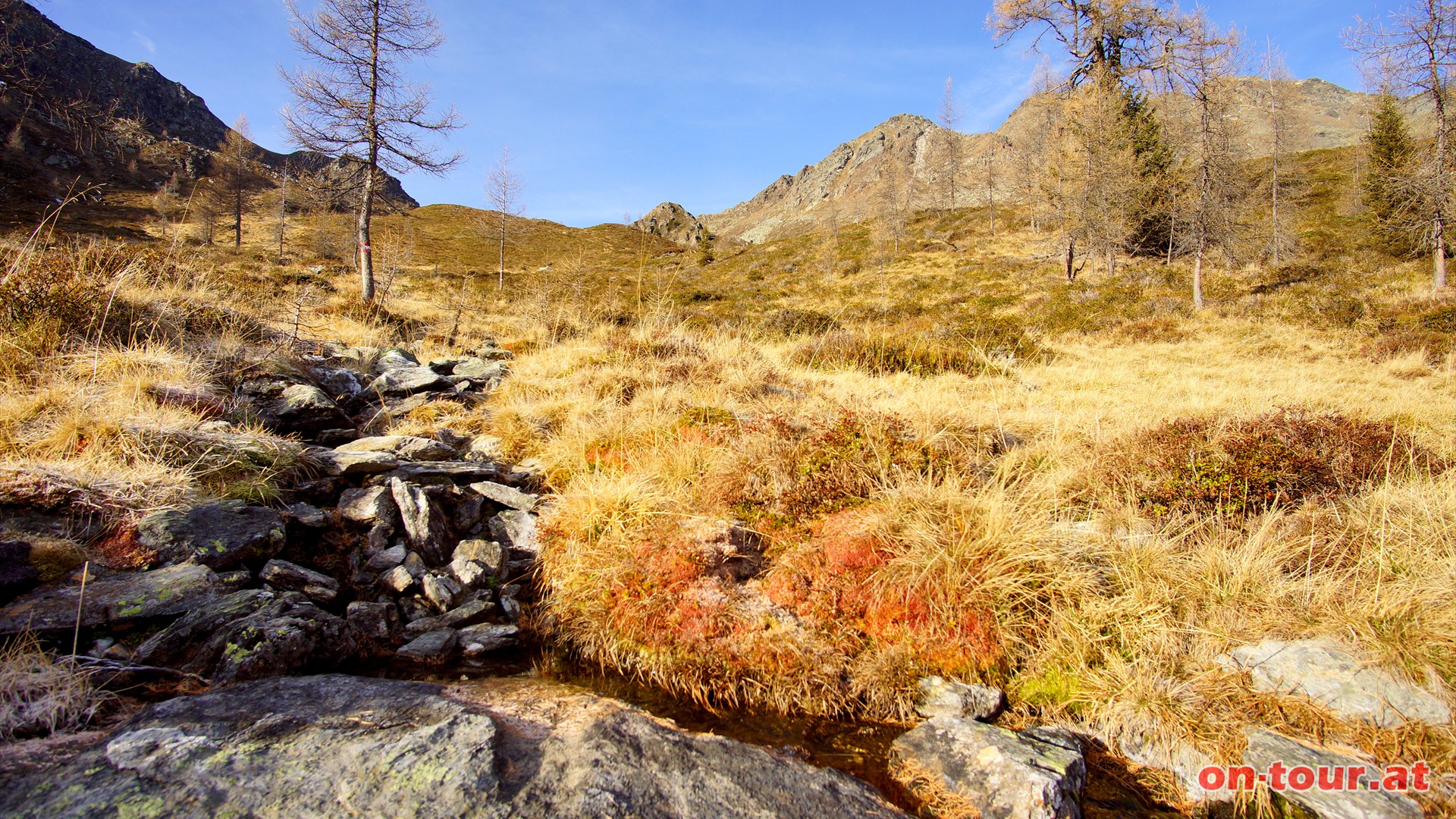 Farbenvielfalt im Herbst.