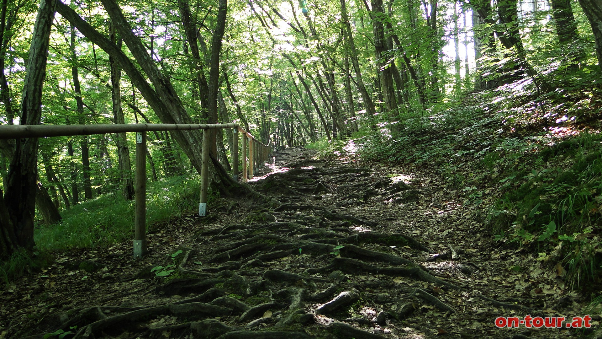 Von Hardegg aus nun nach Osten. ber den Gabrielensteig bergauf immer den Thayatalweg Nr.1 enlang.