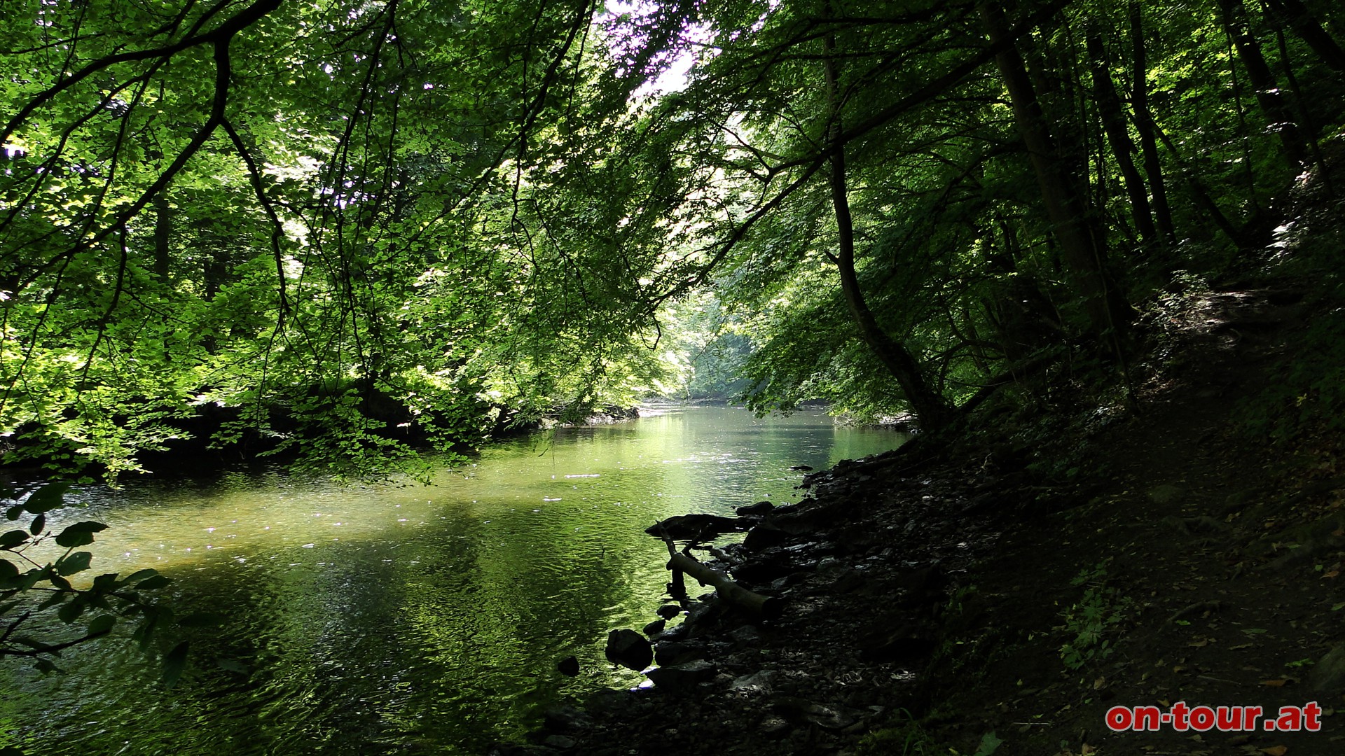 Der Wanderweg fhrt direkt neben dem idyllischen Fluverlauf.