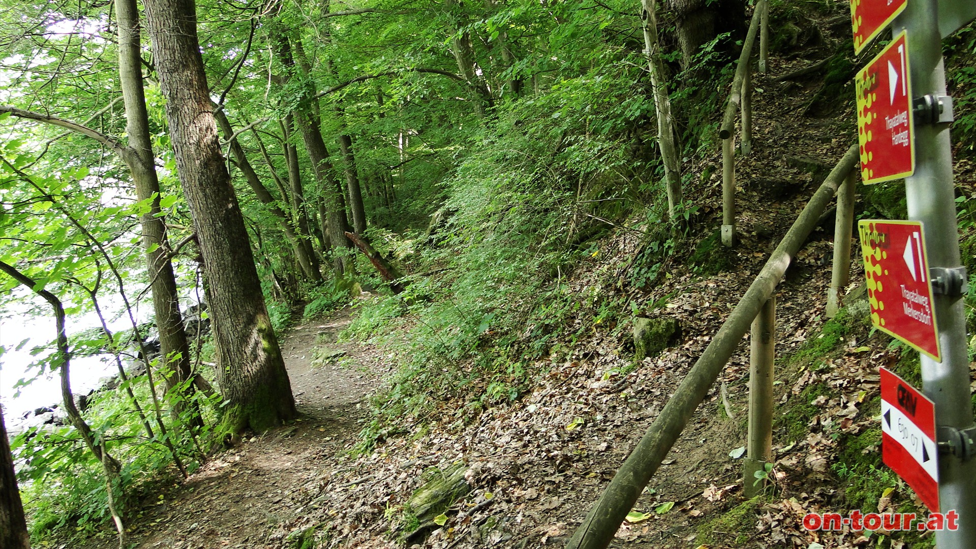 Immer der Thaya entlang. Auch beim Abzweig zum Granitzsteig wandern wir den Thayatalweg 1 weiter.