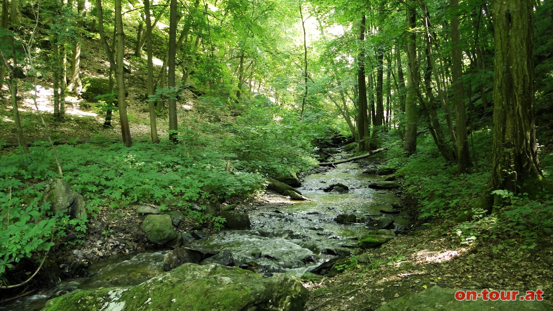 Bei der Mndung des Kajabaches wandern wir nach rechts, im romantischen Tal bergauf.