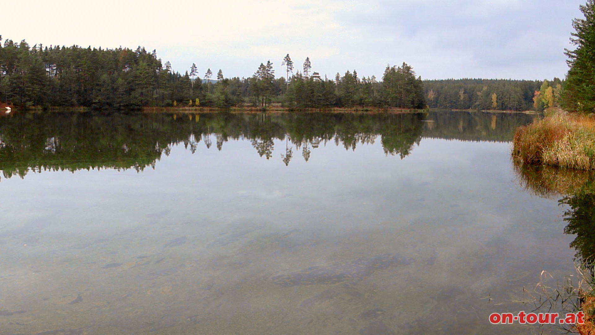 ... der reizvolle, langgestreckte Stankauer Teich direkt an der Grenze ist sehenswert.