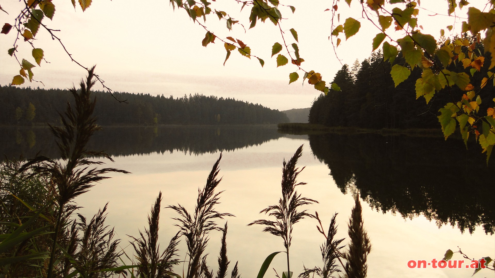 Stille am Stankauer Teich. Zurck ber Rubitzkoteich, Forst- und Landesstrae.