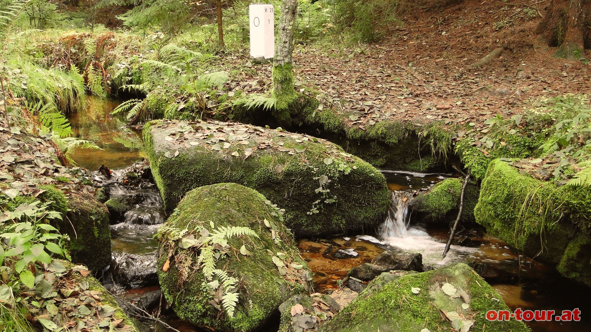 Stimmungsvolle Landschaft an der nrdlichsten Grenze.