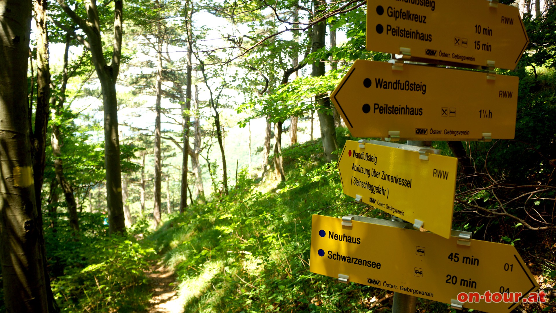 Bei der Wegkreuzung bietet sich eine leichte Variante des Wandfusteiges oder eine anspruchsvollere ber den Zinnenkessel an.