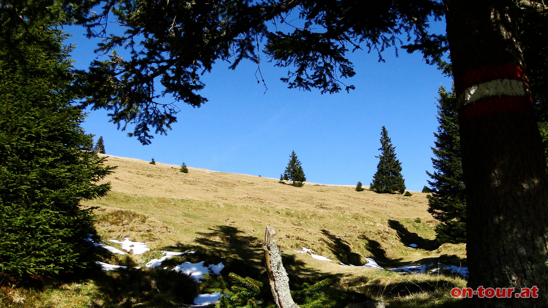 Oberhalb der Baumgrenze zeigt sich der Schwarzriegel.