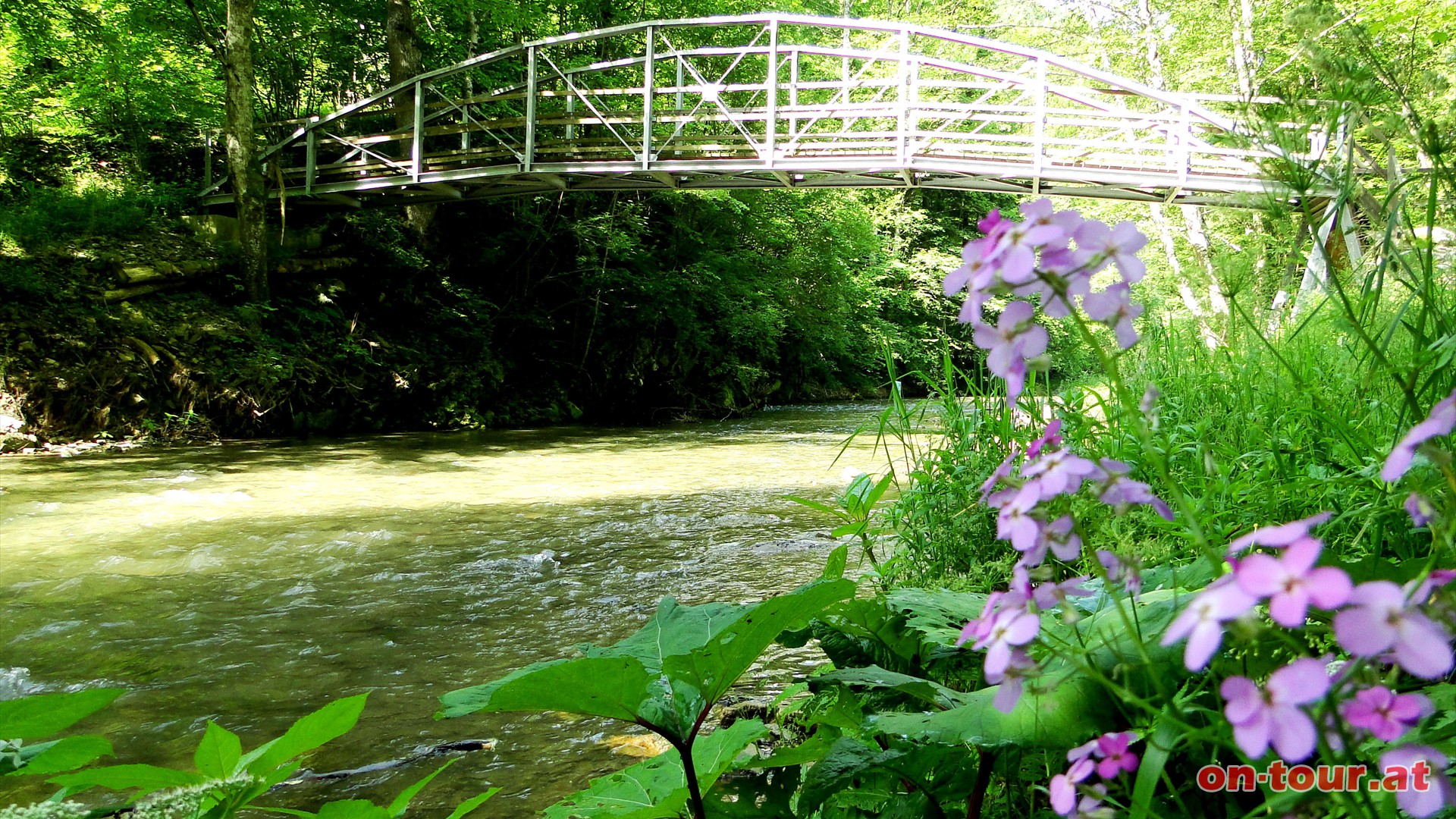 Naasersteg-Brcke