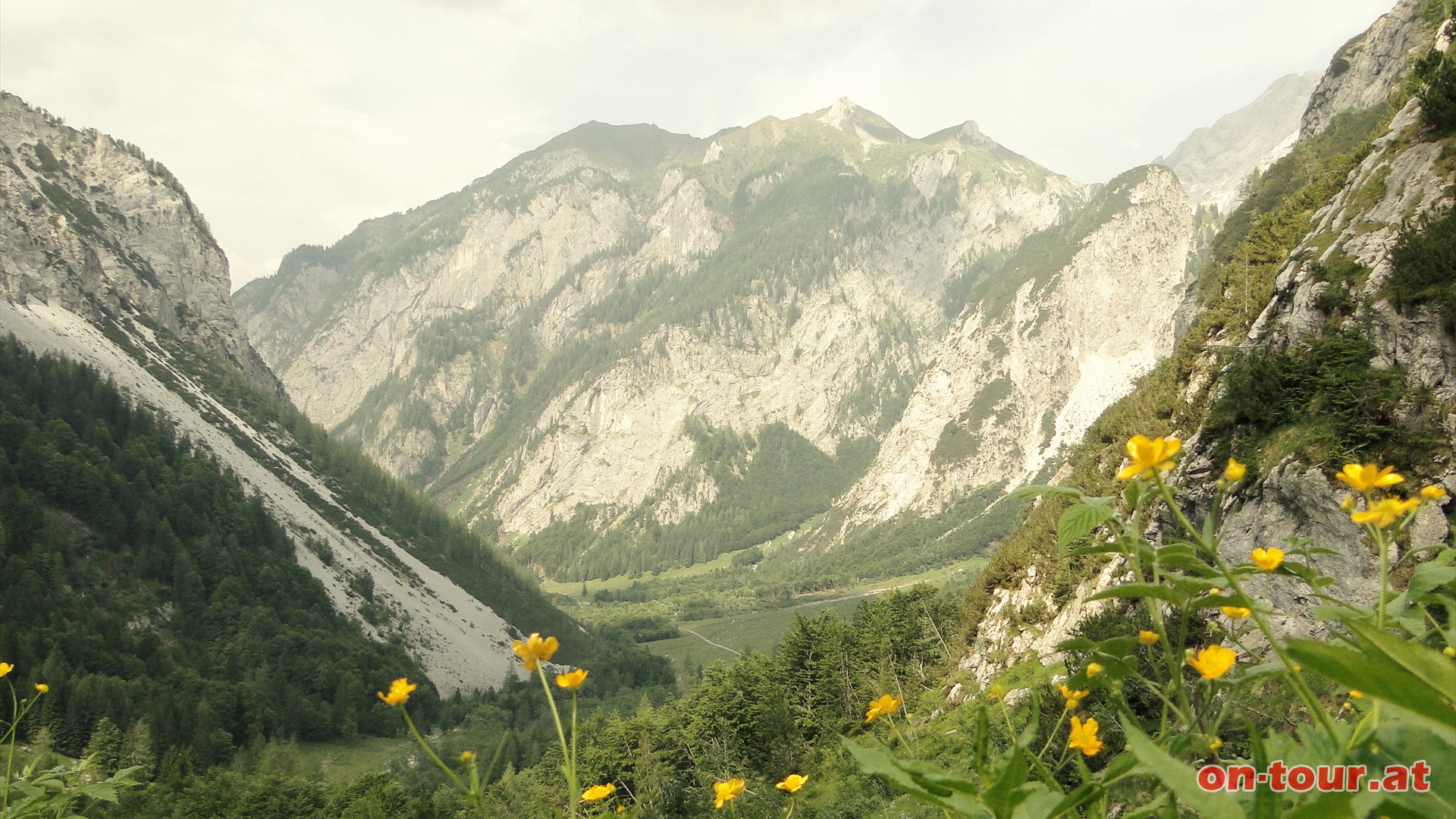 Entlang der Forststrae im Wolayertal geht es schlielich zurck zum Tourausgangspunkt.