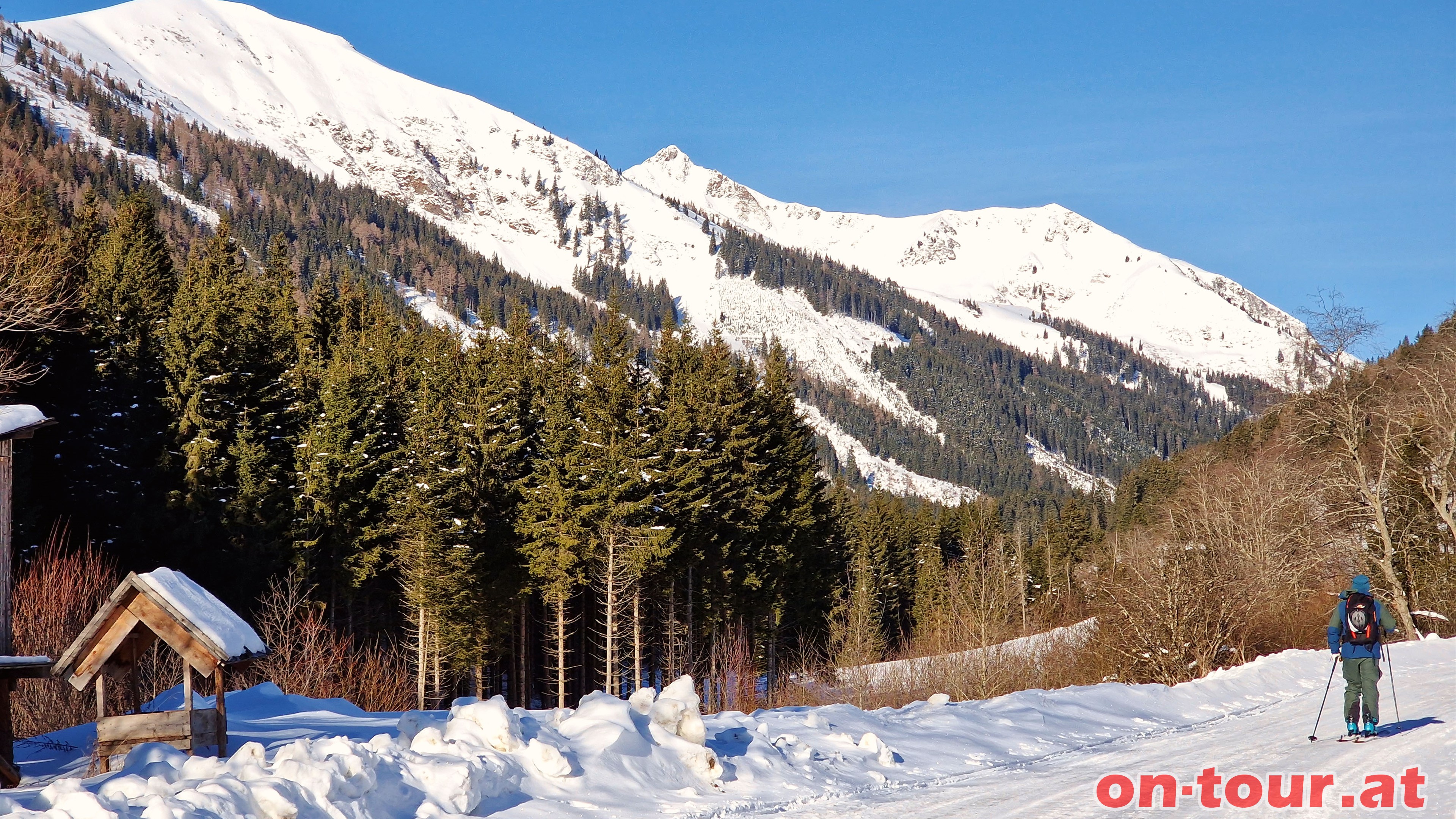 Aufstieg im Authal mit Blick zum Regenkarspitz.