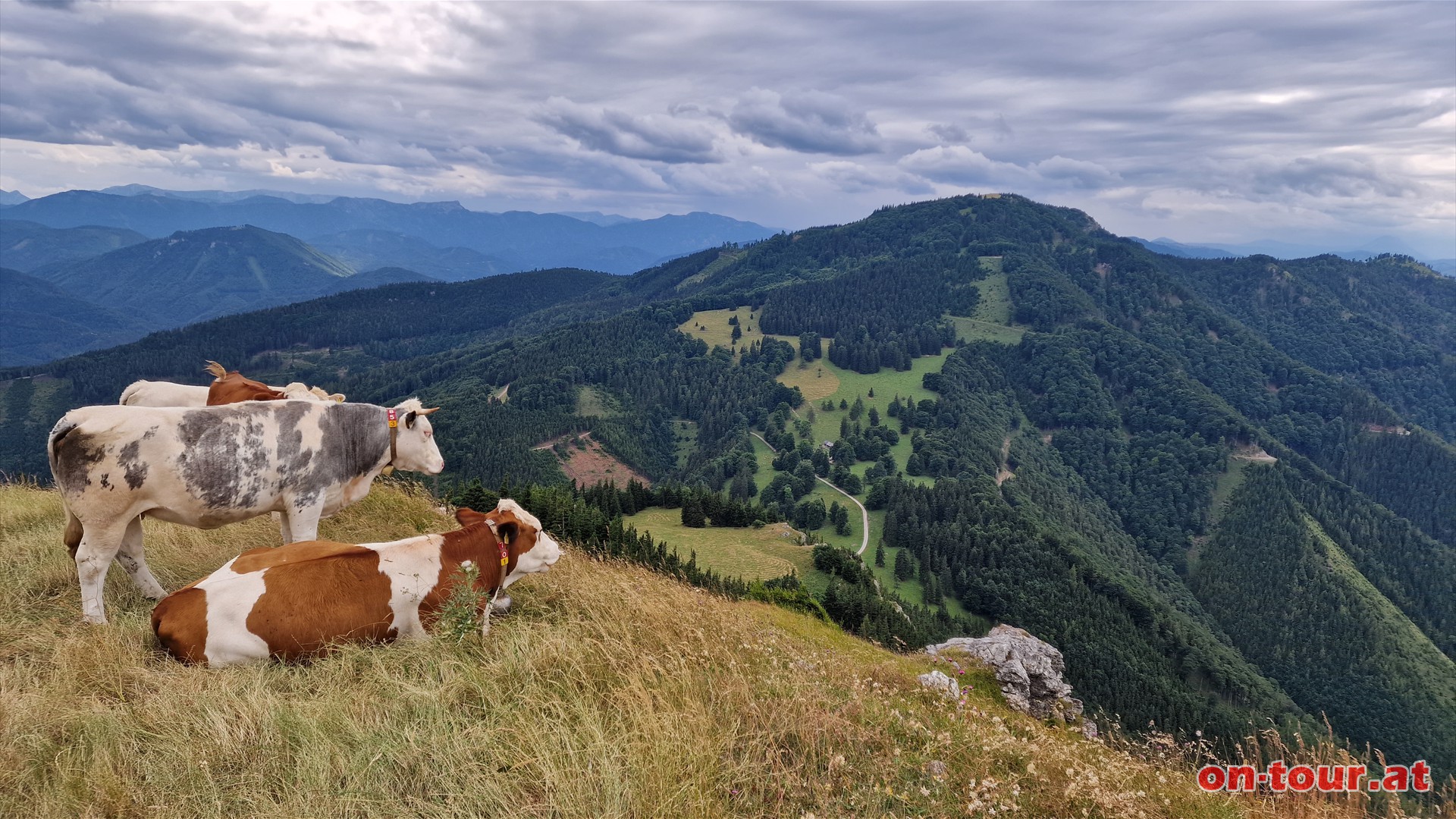 Reisalpe von der Hochstaff.