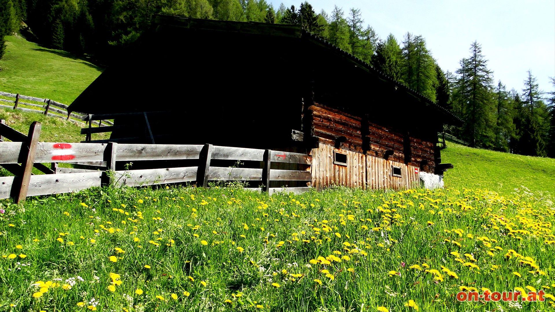 Die Strae kurz zurckgehen, beim Schmirnerbach links und ber die saftigen Wiesen bergauf.