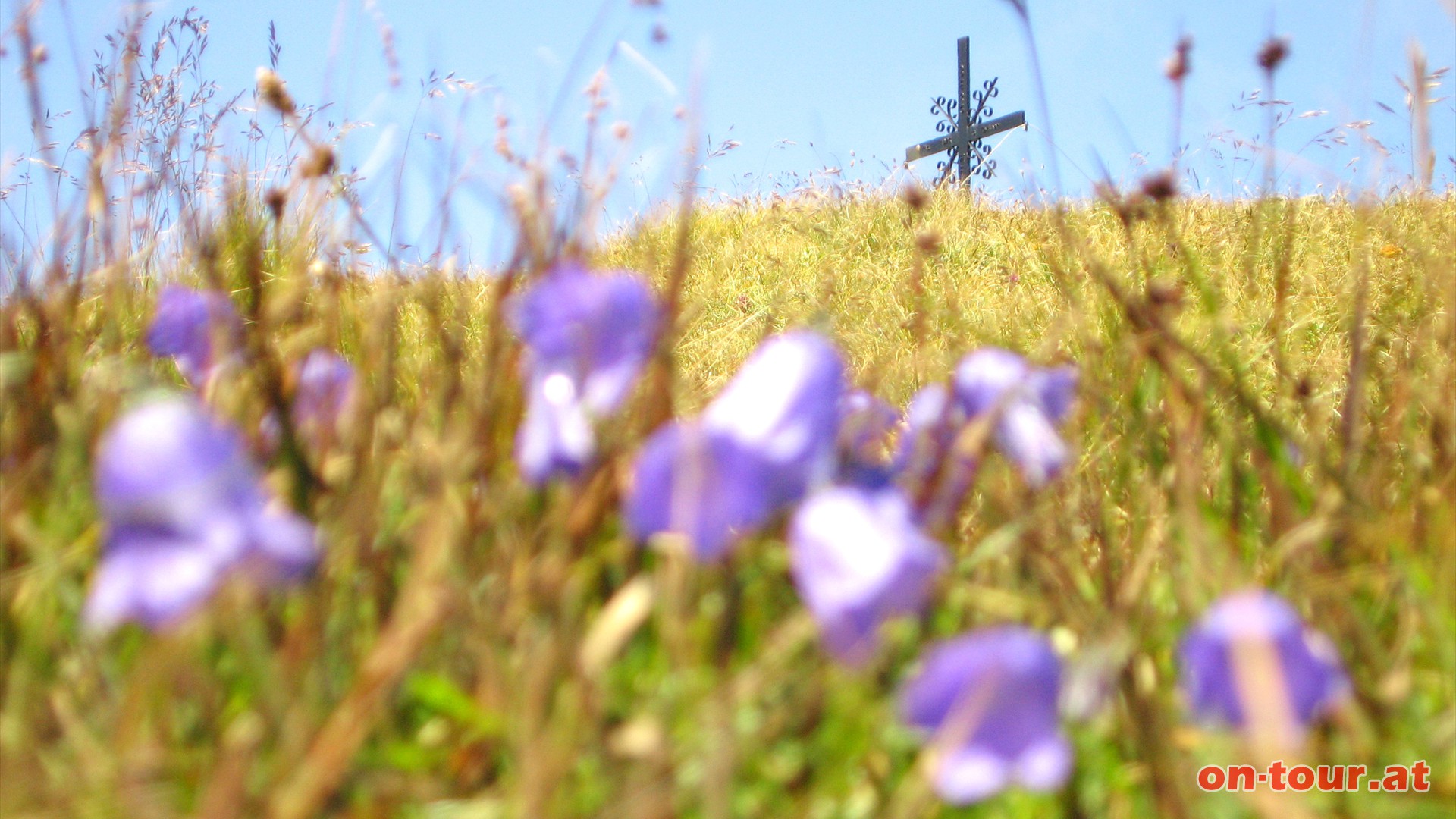 Das Gipfelkreuz grt.