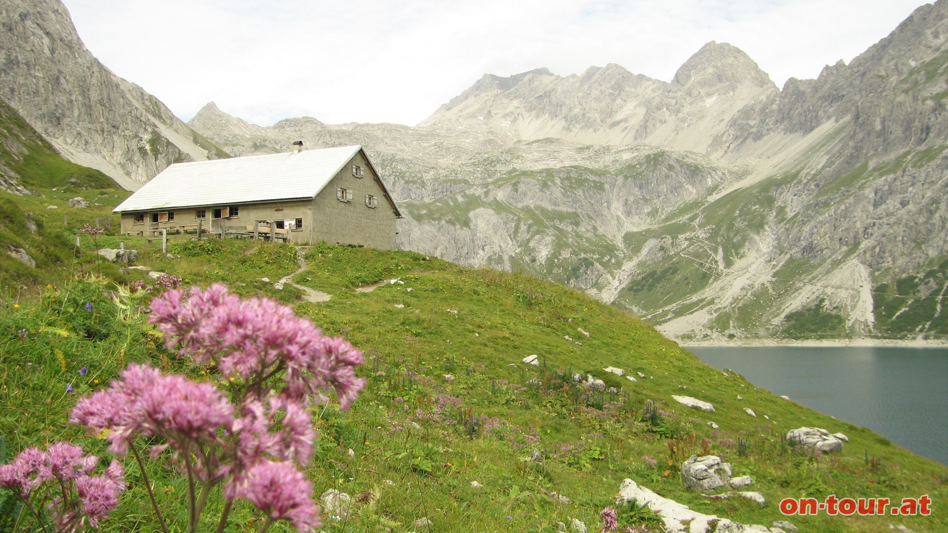 Lnerseealpe; im Hintergrund die Schesaplana.