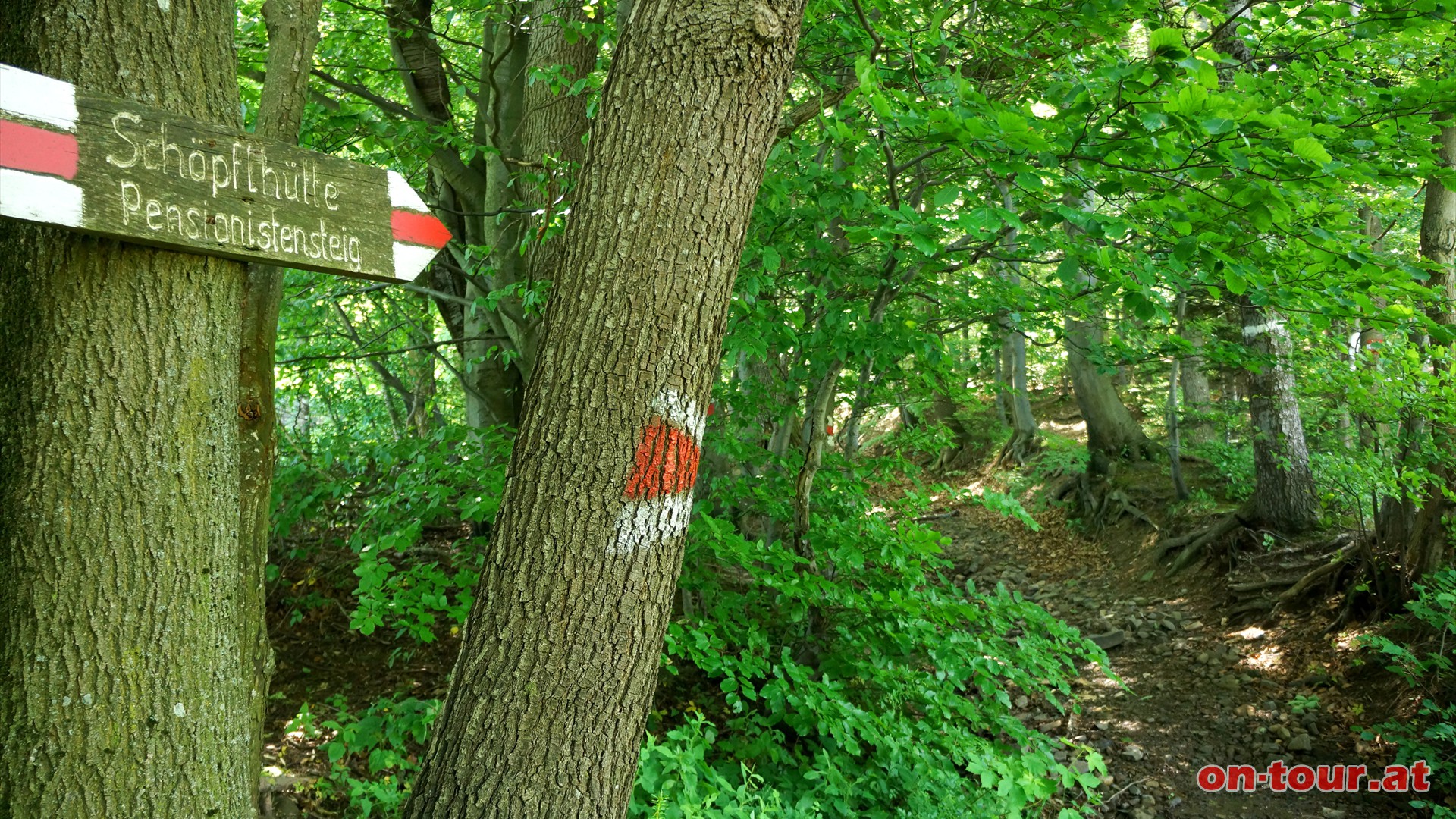 Abzweig Pensionistensteig - Abstiegsvariante