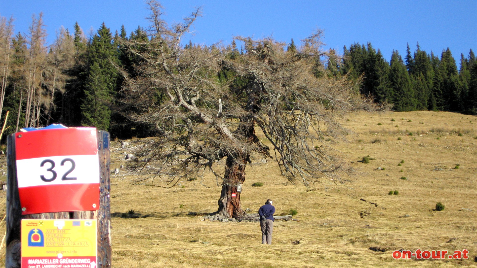 Entlang der rot-weiss-roten Markierung in nrdlicher Richtung bergauf.