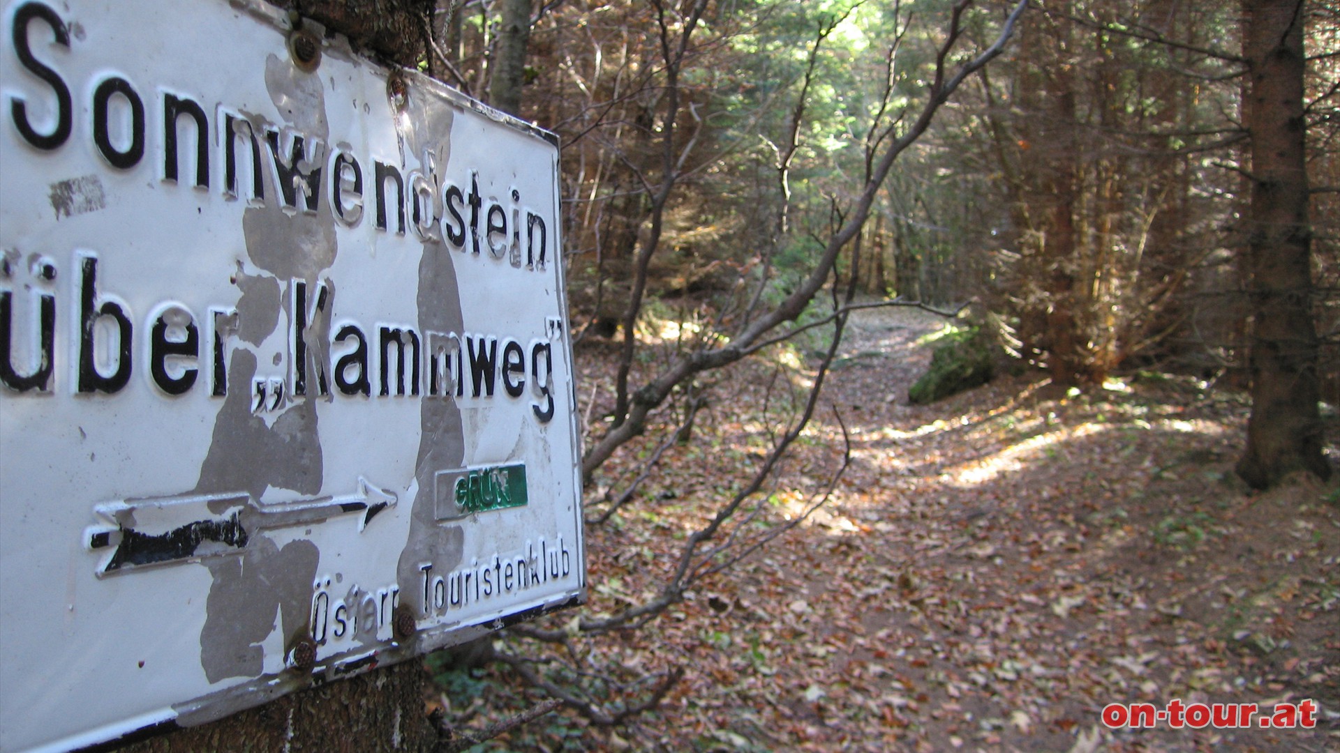 Nun immer entlang der grn markierten Gipfelrunde.