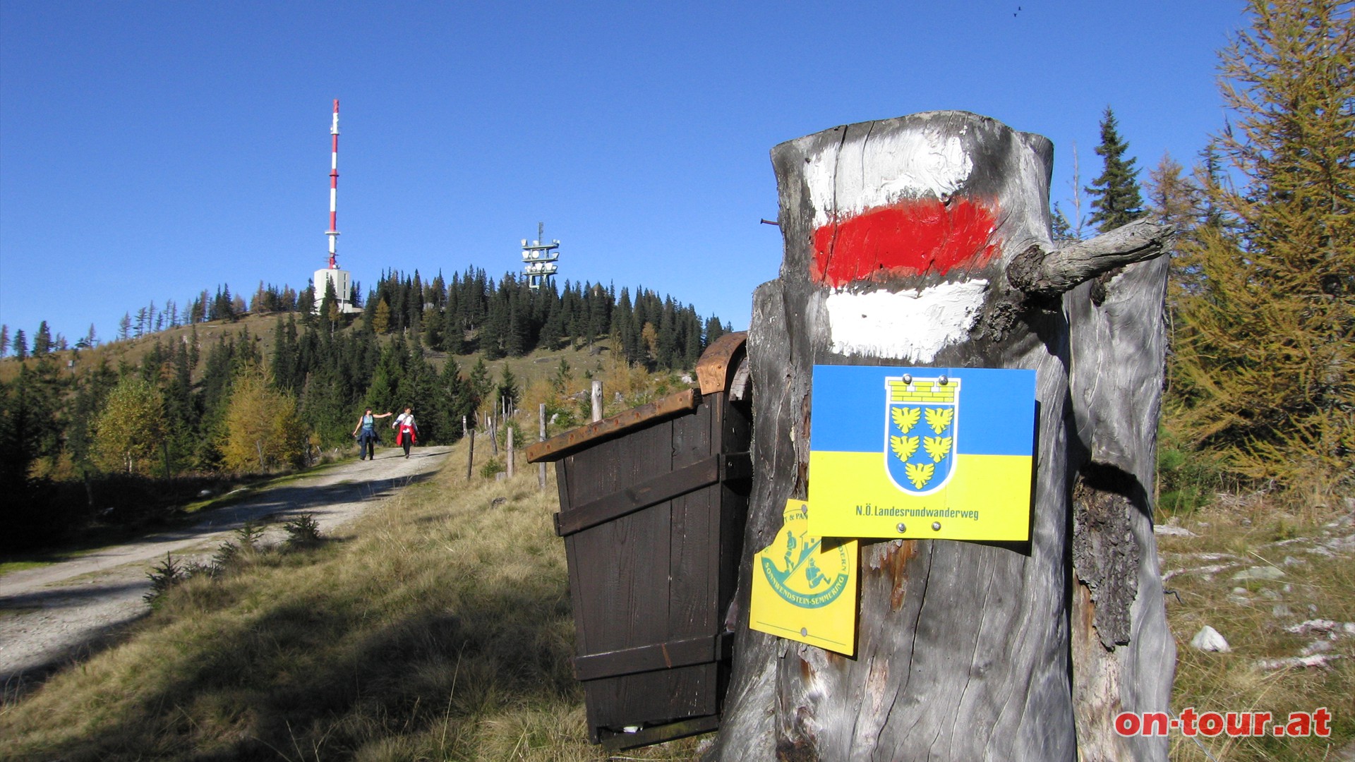 Weiter Richtung Sonnwendstein.