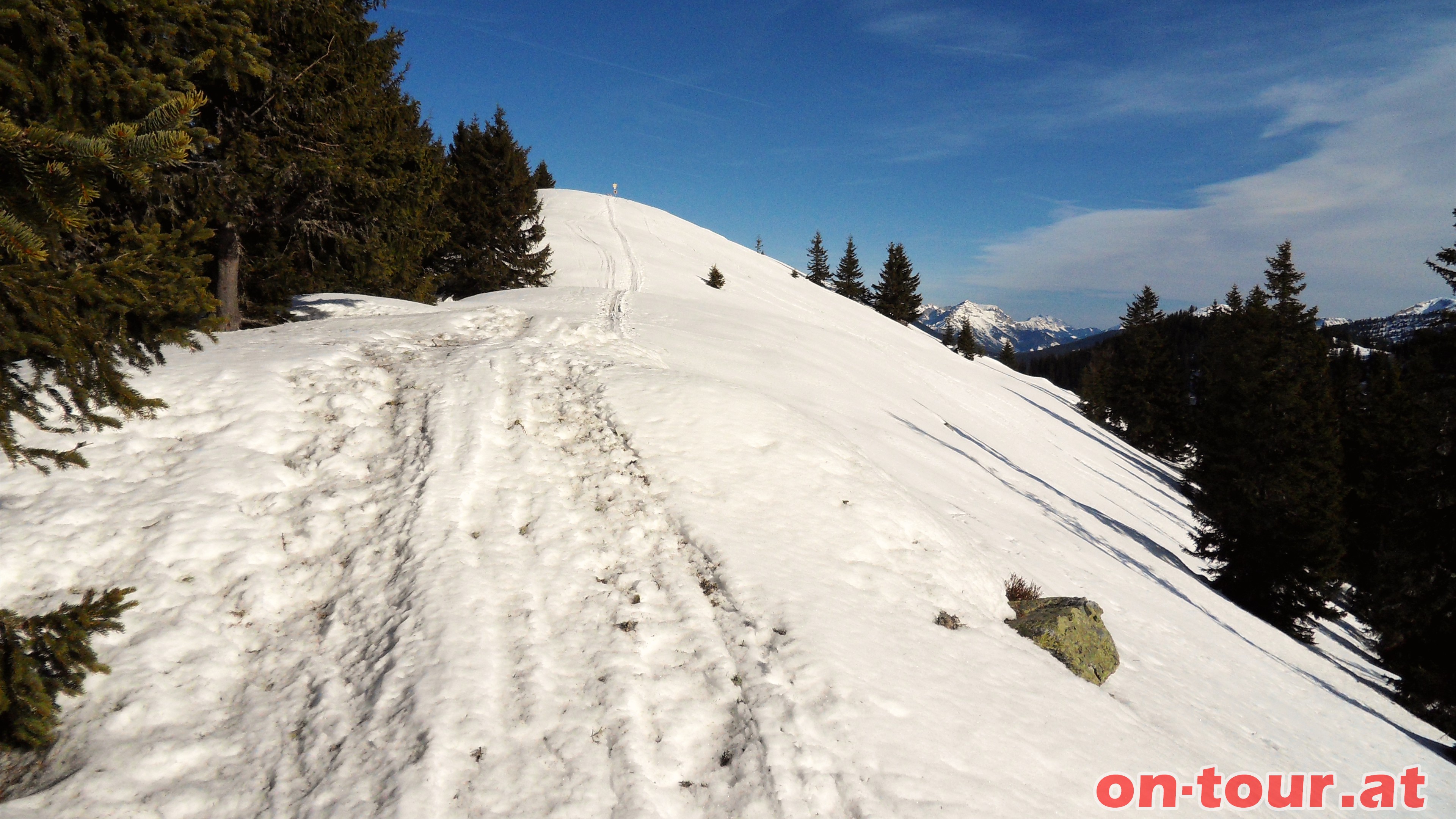 Ab der Waldgrenze gemtlich bergauf und das letzte Stck bis zum Gipfel in stlicher Richtung.