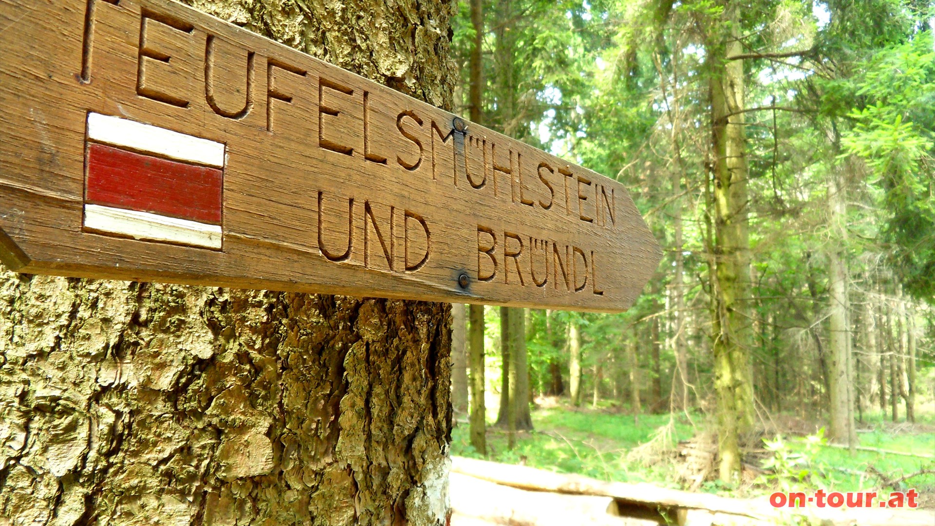 Beim Abzweig -Teufelsmhlstein und Brndl- nach rechts in nrdlicher Richtung.