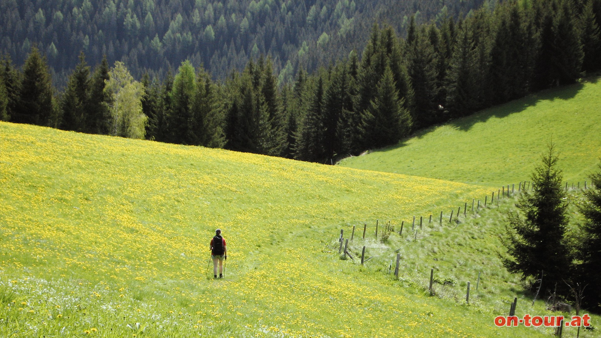 Nach einer langen Pause auf der Steinplanhtten-Sonnenterrasse geht es wieder zurck.