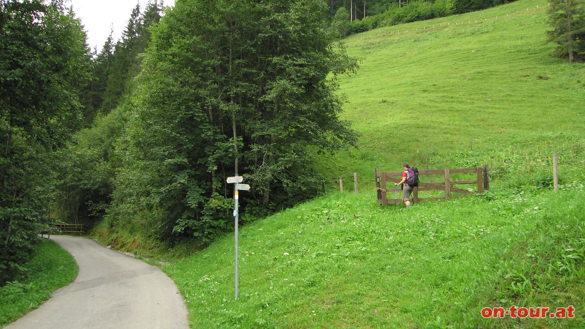 Start im Gampadelstal. Von Tschagguns aus ber den Ziegerbeg bis  knapp vor dem E-Werk - dort fhrt der Wanderweg rechts ber eine Wiese bergauf.