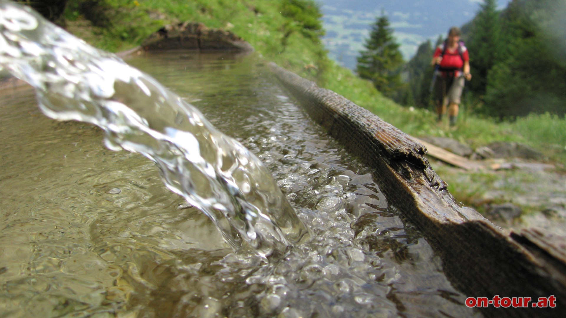 ber mehrere Pfade lassen sich die endlosen Schleifen der Forststrae elegant umgehen. So fhrt eine, fast gerade Strecke bis zur Gampadelsalpe. Davor gibt es aber noch frisches Quellwasser.