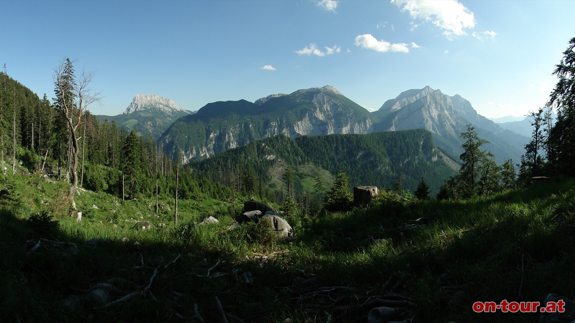 Alternativer Abstieg ber die Hochscheibenalm.