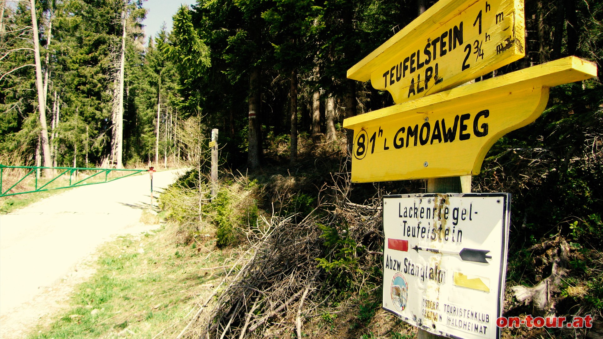 Richtung Norden sanft aufwrts auf den Lackenriegel.