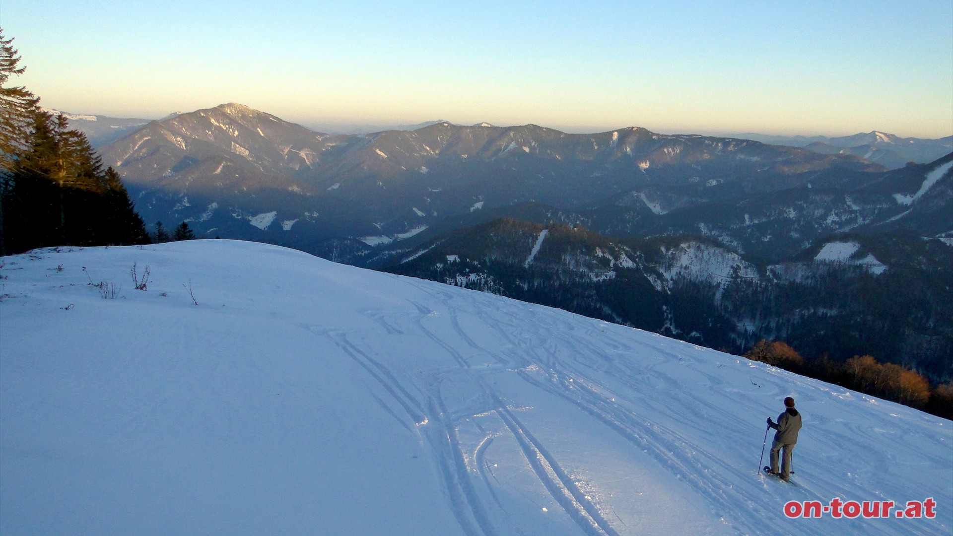 Am Ende der Wiesenflchen (ca. auf 880 m) fhrt eine Forststrae zurck zum Hauptretzhof.