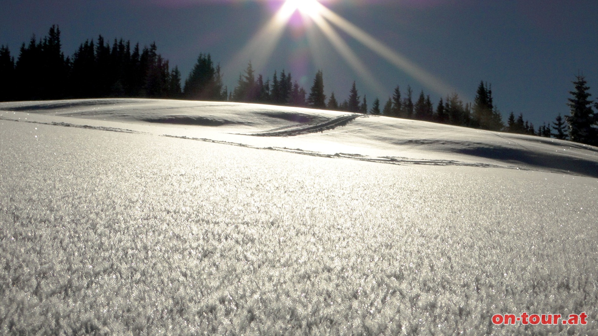 Der gesamte Tirolerkogel ist mit einem wunderbaren Eiskristallteppich geschmckt. 