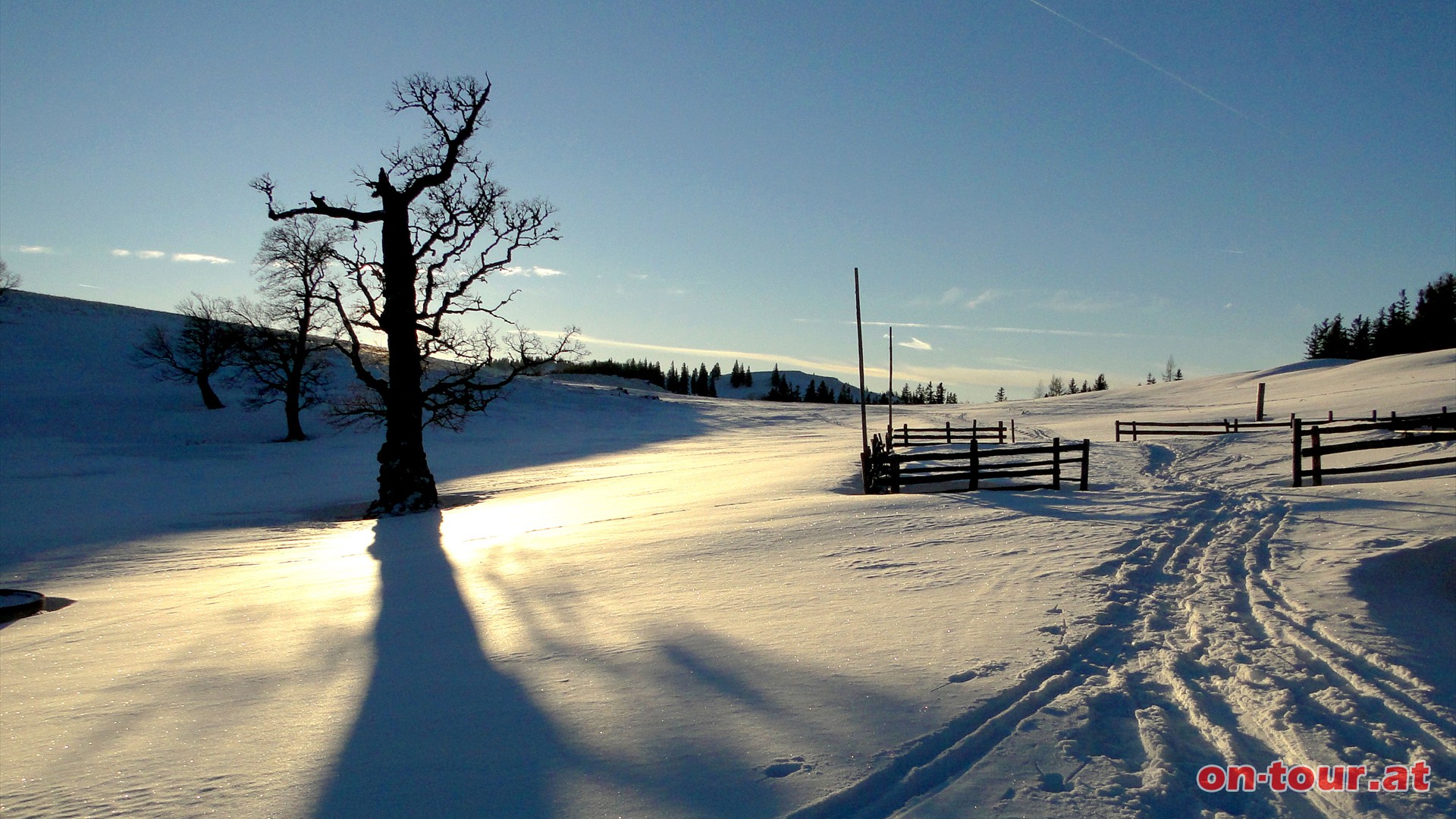 Rckblick zum Tirolerkogel von der Kuchl Bergbauernalm.