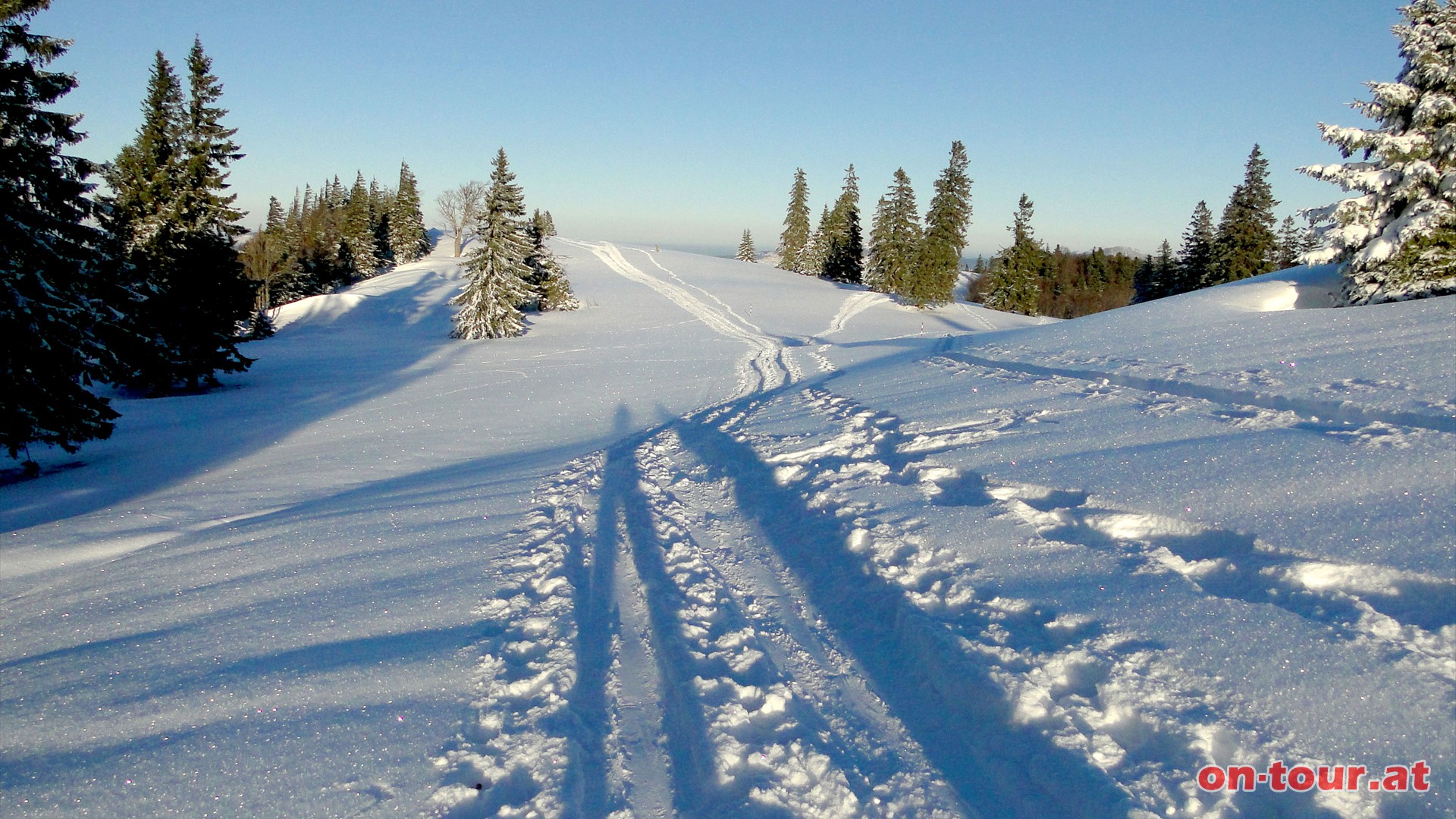 Rckweg bis zum Karlstein.