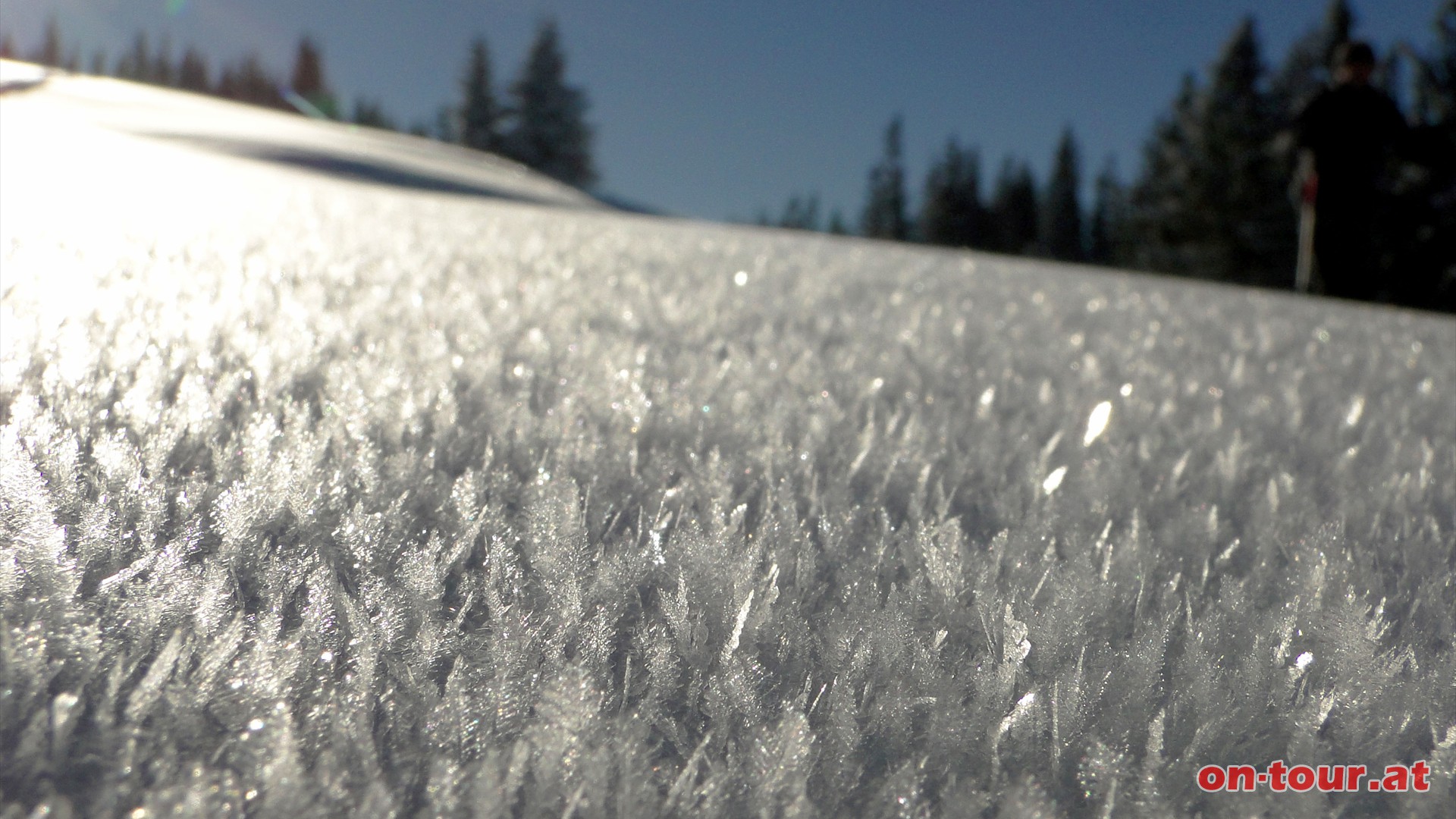 Weitere geniale Details; Feine, grazile Schneekristallfedern am Boden dmpfen die Schritte enorm.