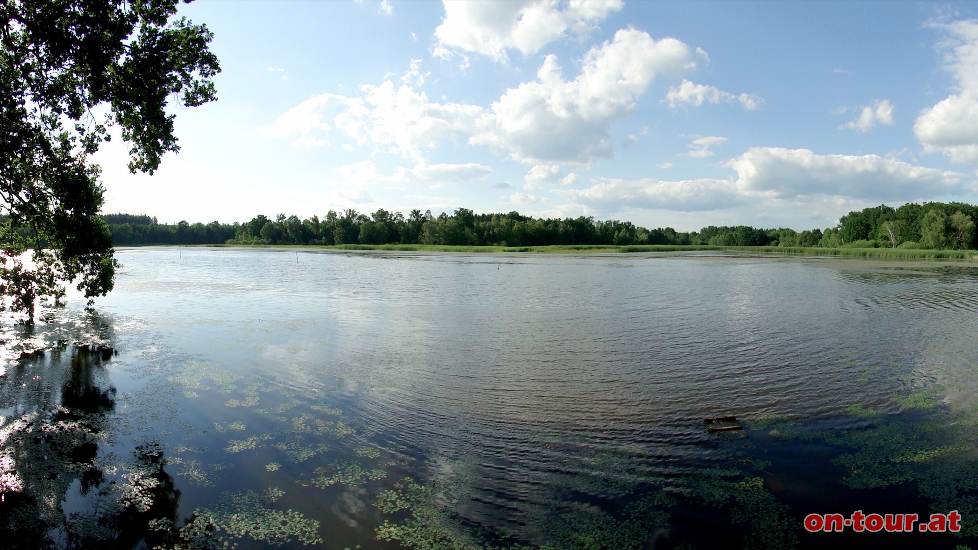 Beim Groen Neudauer Teich kann man sich ruhig eine meditative Pause gnnen.