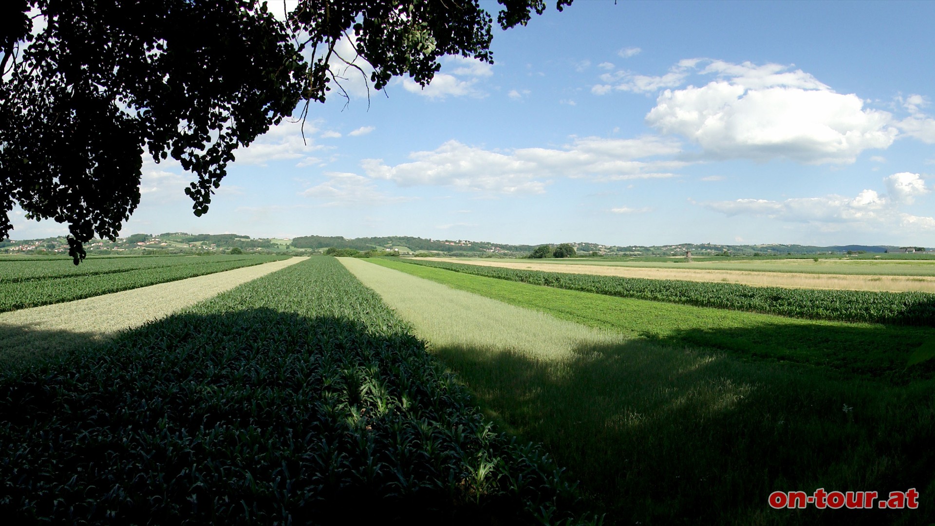 Nach Burgau erffnet sich ein herrlicher Blick Richtung Osten zu den burgenlndischen Gemeinden Burgauberg - Neudauberg.