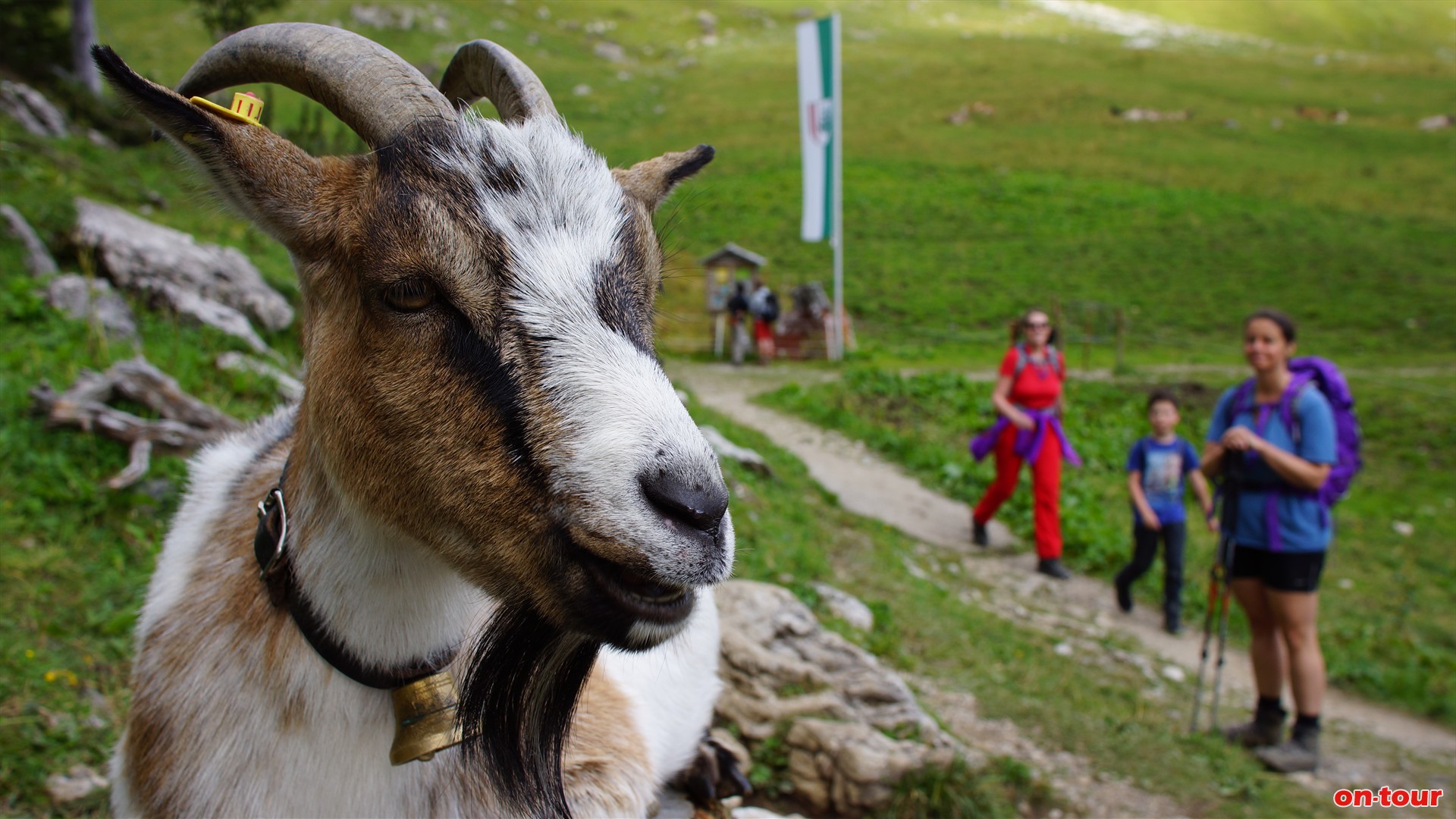 Bei der Jausenstation Traualpsee kann man rasten und die ansssigen Ziegen begren.